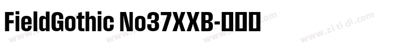 FieldGothic No37XXB字体转换